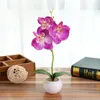 Decoratieve bloemen bonsai indoor vlinder orchidee elegantie rustige bruiloftdecoraties