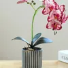 Dekoratif Çiçekler Yapay Orkide Çiçek Bonsai Potted Phalaenopsis Ekici Ev Ofis Dekor Parlak Renk İç Mekan Balkon