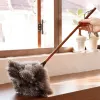 Ostrich Feather Duster Återanvändbara fjädrar Duster med trämhandrengöringsverktyg Hushållens bil Damm Brushrenare Damm Tillbehör