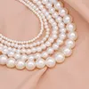 Elegant White Imitation Pearl Choker Collier Big Round Wedding for Women Charm Bijoux de mode 240403