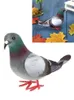 Décorations de jardin Modèle Simulation Pigeon 1PCS Toys éducatifs artificiels fausse mousse imitation oiseau haute qualité