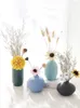 Vasos Ornamentos de vaso de cerâmica nórdicos Secas de flores de armazenamento de armazenamento Acessórios para decoração Mobiliações de flores artificiais