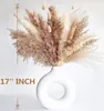 Decorative Flowers Pampas Grass Dried Tail Artificial For Home Garden Decoration Christmas Wedding Baby Shower Decorations