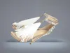 Perfecte officiële kwaliteit Amina schoenen Begum kristalempelished PVC Slingback Pumps Muaddi Restocks Begum PVC Slingbacks 5 cm High H5791536