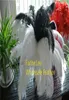 200pcslot 1416inch 3540cm Plumes de plumes autruche en noir et blanc pour la pièce maîtresse de la pièce de mariage de la pièce de mariage 8820812