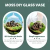 Vaser glas mikro landskap ekologiska flaskor minitude dekoration klar terrarium bubbla skål vas enkel