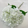 Fleurs décoratives Fleur de simulation tactile 3D 3D - L'artificiel parfait pour une expérience réaliste