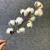 Dried Flowers Naturally Dried Cotton Flowers White Home Decorative Artificial Floral Branch Wedding Bridesmaid Bouquet Decor Fake White Flower