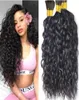 Brazilian Human Hair Braids Bulk Natural Water Wave No Weft Wet And Wavy Micro mini Braiding Bulk Hair41940146873186