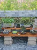 Dekoratif Tabaklar Balkon Üst Kat Bahçe Düzeni Masif Ahşap Çiçek Standı Etli Jardiniere Depolama Rafı