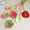 Fleurs décoratives 10pc 3D Printing Anthurium réaliste artificiel pour la décoration intérieure de la plante verte arrangement de fleurs de table de mariage en pot vert