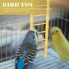 Autres fournitures d'oiseaux Hamster Mesure d'échelle Toys pour hamsters Budgie en bois accessoires de cage