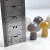 Figurines décoratives 20 mm 10pcs Natural Grey Agate Mushroom Quartz Crystal Polished Gemmy Healing Reiki Decor Cadeau (champignon gris)