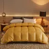 High-quality 95% White Goose Down Filled Duvet For Five-star Hotel Winter Warm Down Duvet King Size Double Bed Full Size