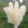 120 cm de pampa artificial de pampas pampas grama longa planta seca seca decorativa sala de casamento decoração de natal flor de natal flor