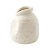 Vasi moderni moderni vasi di fiori opachi in ceramica con manico per la fattoria decorativa decorativa per disposizione floreale secca