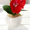 Decorative Flowers Artificial Butterfly Orchid Potted Bonsai With Pot Fake Plants For Balcony Desktop Home Bedroom Living Room Decoration