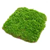 Fleurs décoratives Artificial Moss Lawn tapis fausses plantes vertes Faux Grass pour la maison DIY MINI MICRO Micro Landscape Decoration