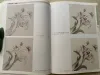 Lever 1 stc Chinese schilderij Beginner Gongbi Insect Flower Techniek Tattoo Referentieboek