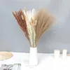 Dekorativa blommor torkade pampas gräsdekor riktig vass svans fluffig bröllop diy bohemisk naturlig bukett för heminredning