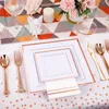 Disposable Dinnerware 176Pcs Rose Gold Plates-Rose Square Plastic Plates - And Napkins Party Supplies