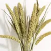 Fleurs décoratives 10pcs Natura Wheat Ear Plants Bouquet Millet Spikel Séchoté Grain de fleur Matériau de mariage Decoration Dry Home Room Decor