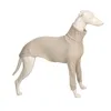 Hundkläder Autumn and Winter Pet Clothes Soft Pure Cotton Bellington Whibit Greyhound Dogs Accessories Ropa de Perro