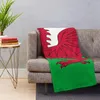 Coperte Pin bandiera gallese - BASSO Galles Peluga Coperta di lancio anime