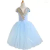 Stage Wear 2024 Ballet Skirt Girls' Professional Romantic Short Modern Dance Long Swan Lake Clothing For Children