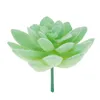 Decoratieve bloemen Wedding Artificiële Succulenten Plant 3-8 cm 5-stcs/set feesten Decor Plastic realistische nep bloemen thuis/kantoor