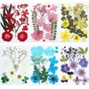Decorative Flowers DIY Dried Pressed Resin Mold Fillings Expoxy Flower Candle Jewelry Nail Pendant Crafts For Home Art Floral Decors