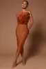 Повседневные платья прибытие коричневые розовые женщины Сексуальные перья с плеча бодиконсоколон