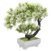 Fiori decorativi piante finte bonsai in plastica in vaso artificiale per decorazioni per la casa ornamenti interni