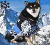 小さな大きな犬のためのペットの小さな犬の服犬のためのフランスのブルドッグ服ジャケットコートコスチューム犬の顔Chihuahua 2011021705474