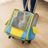 Transporteurs de chats pliables chariot pour animaux de compagnie Porte-poussette porteuse de chiens sac à dos chats mode extérieur imperméable sac de voyage