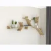 Neuer heißer Verkauf maßgeschneiderter moderner Stil Neues Design Bücherregal für Home Tree Regal Branch-Shelf