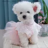 Hondenkleding doen en Cat Sprin herfstjurk roze auze bubbel rok kanten halslijn prinses jurk kleine en middelgrote huisdier doek l49