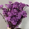 Decorative Flowers 50g Natural Millet Fruit Dried Flower Artificial Garden Decoration Outdoor Christmas Offers Pampas