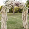 Partihandel 10st Boho Wedding Decor Stor plommon torr pampas gräsblomma dekor naturlig verklig bevarad torkad pampas för heminredning 240409