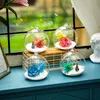 Hanging Glass Terrarium Globe Tea Light Candlers Succulents Succulents Vase Hangle pour la maison de mariage à la maison en plein air B03E