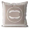 Home textiles oreiller concepteur coussin canapé-ci-outre coussin de luxe de luxe coussin de coussin de la baignoire coussin de la chambre à coucher