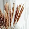Декоративные цветы JFBL 60 шт. Высушенные пампас травяной декор 17 дюйм натуральный цветочный/ для цветочных композиций свадьба