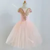 Stage Wear 2024 Ballet Skirt Girls' Professional Romantic Short Modern Dance Long Swan Lake Clothing For Children