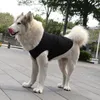 犬のアパレルベストソフトアーチヘムペットの袖のないプルオーバー屋外の服