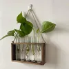 Vaser vintage hängande transparenta planterare retro tubformat växt terrarium för trädgårdsentusiaster gåva