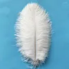 Party Decoration 1PC White AnimalFeathers 30-45 cm långa plommor för hantverk Bröllop karnevalsbord mittpiece tillbehör