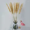 Fleurs décoratives 15pcs séchés naturels roseaux phragmites pampas herbe fiori secchi plantes salon décor de mariage décoration de mariage décoration