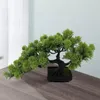 Decorative Flowers Artificial Bonsai Pine Tree Simulation Potted Plants Desktop Display For Bookshelf Living Room Windowsill Decoration