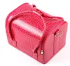 Casmetic Case Makeup Train Case 1pcslot 5 couleurs sacs femmes sac rose sac maquillage organisateur multifonctional5164378