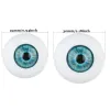 1pair 24/30 mm Eyes acryliques Doll Corège oculaire pour la poupée bjd DIY FAIRE CARALS Sécurité Animal accessoires